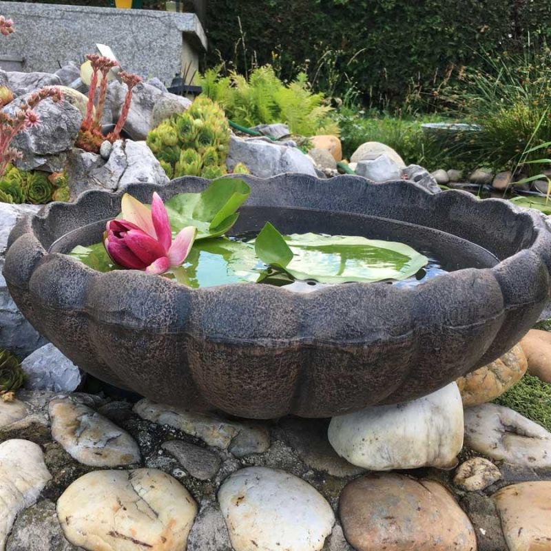 Cvetlično korito Marjetica - Beljena M