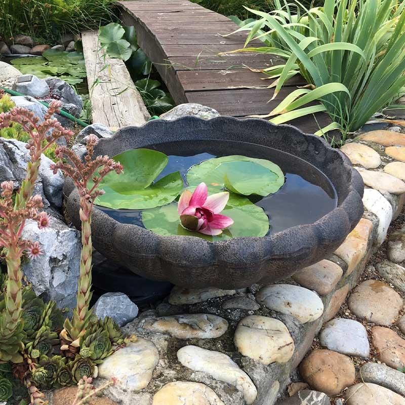 Cvetlično korito Marjetica - Beljena S