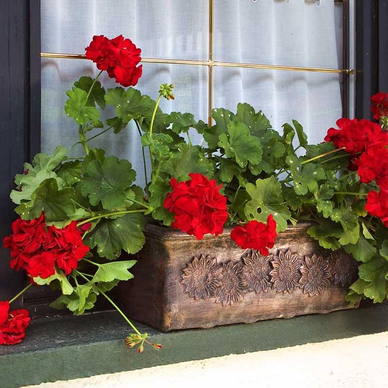 Pravokotna balkonska korita Planika XL rjava