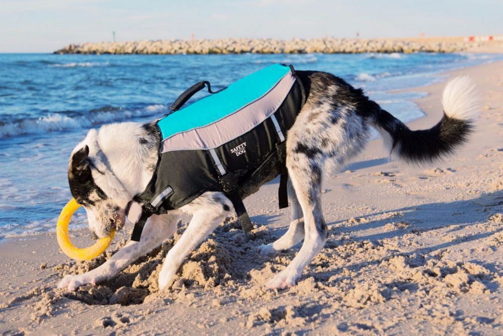 Aquarius rešilni jopič za psa Safety Dog M