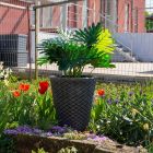 Cvetlično korito Latino - L