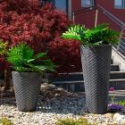 Cvetlično korito Latino - L