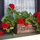 Pravokotna balkonska korita Planika S Granit