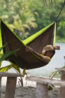 La Siesta potovalna viseča mreža za dva Colibri limeta