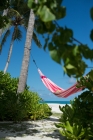 La Siesta viseča mreža za dva Aventura wild rose
